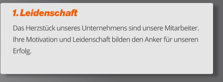 1. Leidenschaft Das Herzstück unseres Unternehmens sind unsere Mitarbeiter. Ihre Motivation und Leidenschaft bilden den Anker für unseren Erfolg.